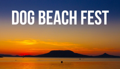 A kuty&aacute;kr&oacute;l sz&oacute;l majd minden a Balatonon! - J&ouml;n a Dog Beach Fest