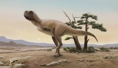 Mit nek&uuml;nk T-Rex?! - Kar n&eacute;lk&uuml;li dinoszauruszfajt fedeztek fel