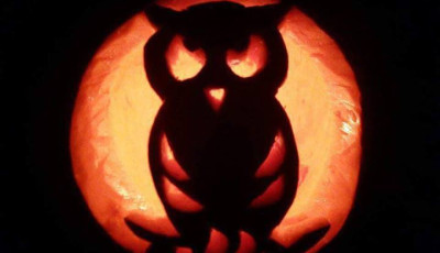 Horv&aacute;th Marianna - Owl Pumpkin