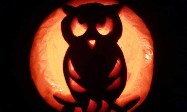 Horv&aacute;th Marianna - Owl Pumpkin