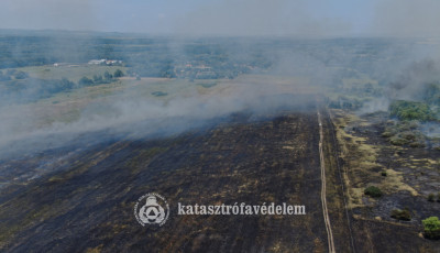 Hetven&ouml;t hekt&aacute;ron &eacute;gett az aljn&ouml;v&eacute;nyzet Somogysimonyin&aacute;l, k&ouml;zel 50 tűzolt&oacute; &eacute;rkezett az olt&aacute;shoz
