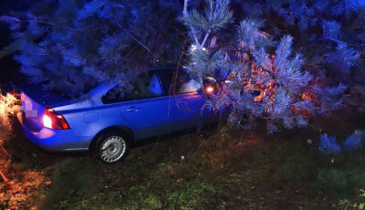 Vadat g&aacute;zolt egy aut&oacute; B&ouml;h&ouml;nye k&uuml;lter&uuml;let&eacute;n