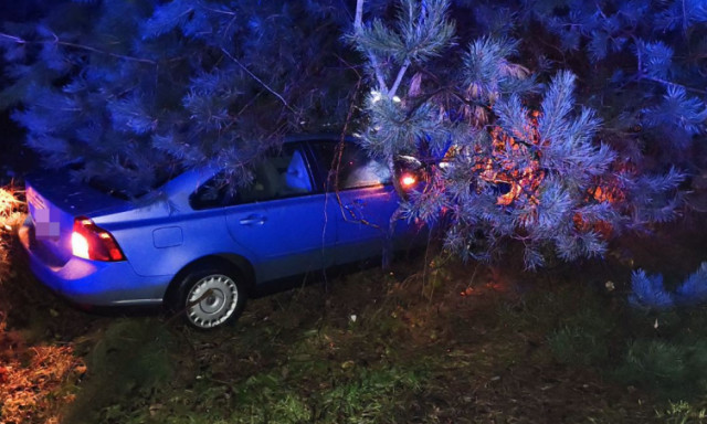 Vadat g&aacute;zolt egy aut&oacute; B&ouml;h&ouml;nye k&uuml;lter&uuml;let&eacute;n