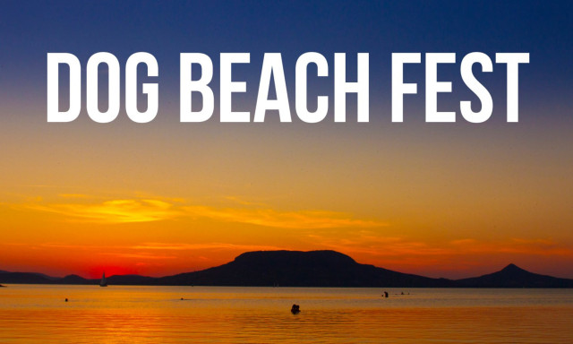 A kuty&aacute;kr&oacute;l sz&oacute;l majd minden a Balatonon! - J&ouml;n a Dog Beach Fest