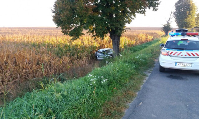 Hal&aacute;los aut&oacute;baleset G&ouml;ll&eacute;n&eacute;l