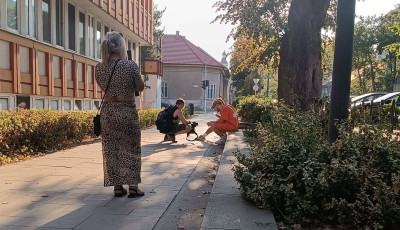 Kaposv&aacute;ron &eacute;jszak&aacute;zik a Most Wanted csapata &ndash; V&aacute;rosunkban l&aacute;tt&aacute;k Bal&aacute;zs&eacute;kat