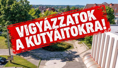 Figyelem, kuty&aacute;sok: patk&aacute;nym&eacute;reg miatt figyelmeztetnek a kaposv&aacute;ri Domus k&ouml;rny&eacute;k&eacute;n