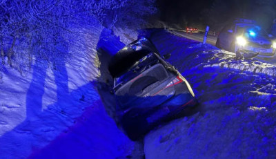 Vadat g&aacute;zolt egy aut&oacute; Balatonendr&eacute;dn&eacute;l