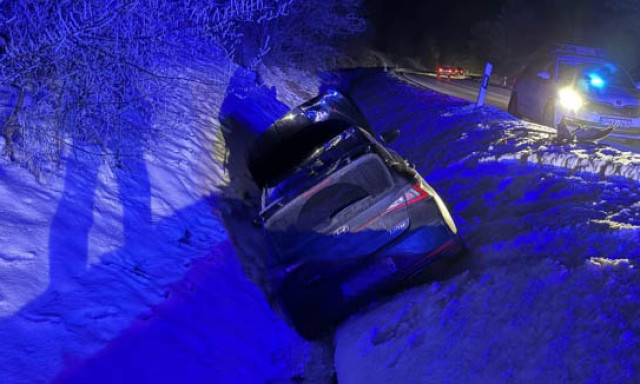 Vadat g&aacute;zolt egy aut&oacute; Balatonendr&eacute;dn&eacute;l