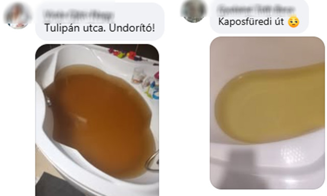 Koszos, barn&aacute;s v&iacute;zre panaszkodnak a kaposf&uuml;rediek, a hat&oacute;s&aacute;gokhoz fordulnak a r&eacute;g&oacute;ta ism&eacute;tlődő probl&eacute;ma miatt