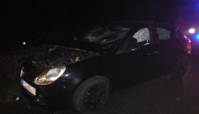 Vadat g&aacute;zolt egy aut&oacute; a 68-as fő&uacute;ton