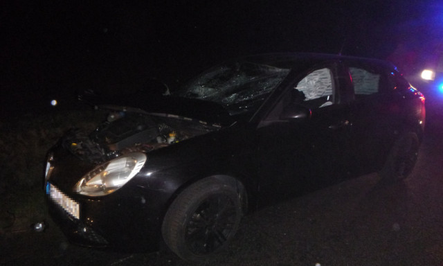 Vadat g&aacute;zolt egy aut&oacute; a 68-as fő&uacute;ton