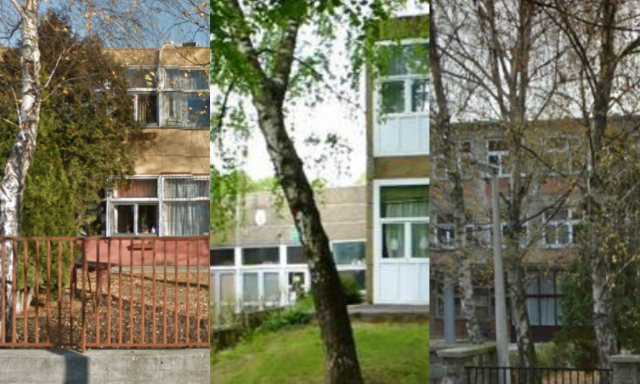 Rengeteg B&aacute;rczis, Honv&eacute;dos &eacute;s Toldis di&aacute;knak kell otthon maradnia - Heti koronav&iacute;rusk&ouml;rk&eacute;p