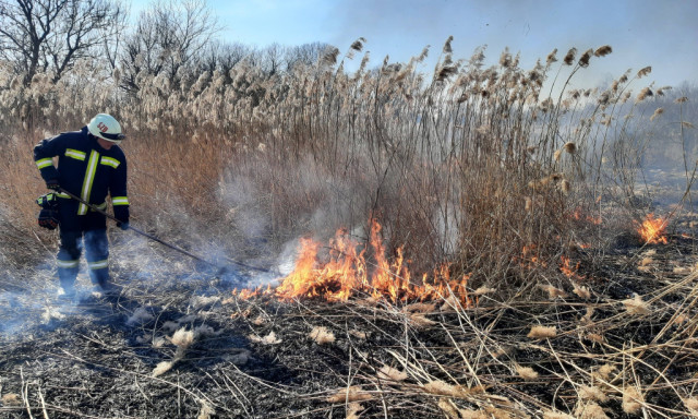 L&aacute;ngok csaptak fel a n&aacute;dasban S&aacute;volyn&aacute;l
