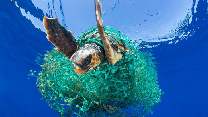 theoceancleanup.com