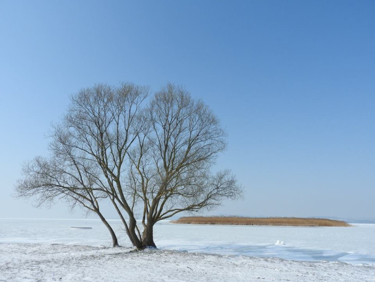 Nincs szebb most a Balatonnál! - Nagy jeges part fotó válogatás