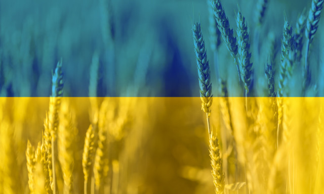 Vissza&aacute;ll&iacute;tj&aacute;k az ukr&aacute;n agr&aacute;rterm&eacute;kek behozatali tilalm&aacute;t