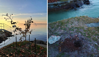 Valaki ki&aacute;sta Balatonbogl&aacute;ron a r&aacute;szorul&oacute;kat is seg&iacute;tő Balaton f&aacute;j&aacute;t