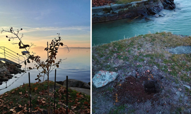 Valaki ki&aacute;sta Balatonbogl&aacute;ron a r&aacute;szorul&oacute;kat is seg&iacute;tő Balaton f&aacute;j&aacute;t