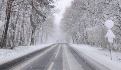 Télikabátokat elő! Durva időjárás-váltás jön - A napsütést eső és hó válthatja a Bakonyban