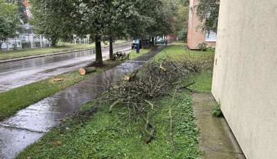 H&aacute;rom hete hajnalban kellett kiv&aacute;gni a Damjanich utcai f&aacute;kat, elsz&aacute;ll&iacute;tani az&oacute;ta sem siker&uuml;lt őket