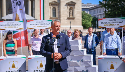 Nem lesz n&eacute;pszavaz&aacute;s a december 24-i munkanapr&oacute;l