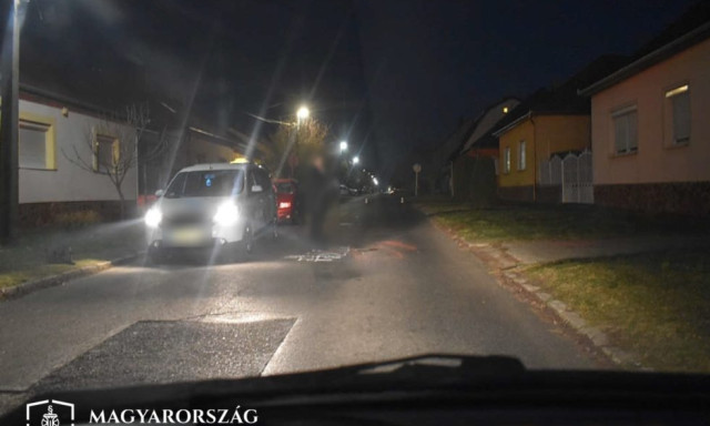 Előbb a macsk&aacute;t, majd gazd&aacute;j&aacute;t is el&uuml;t&ouml;tt&eacute;k Kaposv&aacute;ron