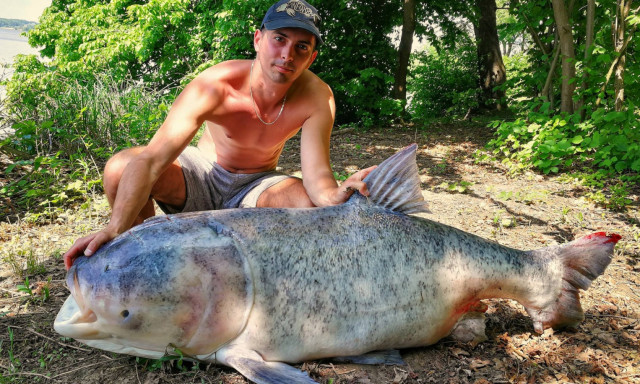 Egy igazi sz&ouml;rnyet fogtak a Desed&aacute;n!