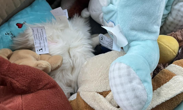 50 darab meglepet&eacute;s pl&uuml;ssre bukkanhattok ma Kaposv&aacute;ron &eacute;s k&ouml;rny&eacute;k&eacute;n