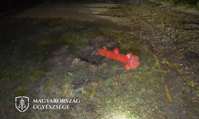 A tűzcsap sem &aacute;ll&iacute;totta meg a r&eacute;szeg sofőrt