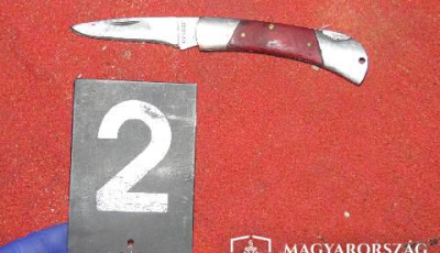 &Eacute;letvesz&eacute;lyesen megsebes&iacute;tette feles&eacute;ge rokonait a somogyi f&eacute;rfi