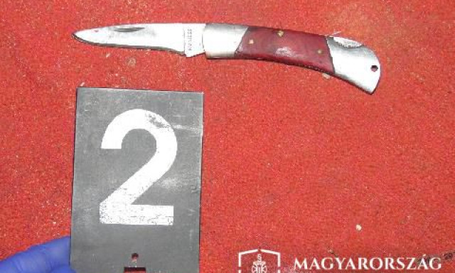&Eacute;letvesz&eacute;lyesen megsebes&iacute;tette feles&eacute;ge rokonait a somogyi f&eacute;rfi