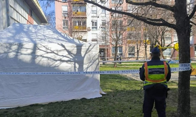 Holtan tal&aacute;ltak egy f&eacute;rfit Szeksz&aacute;rdon, az egyik j&aacute;tsz&oacute;t&eacute;ren