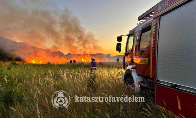 Szemetet &eacute;gettek Kutason, majdnem le&eacute;gett az erdő