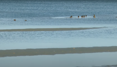 Az erős sz&eacute;l kibillentette a Balatont a medr&eacute;ből - VIDE&Oacute;