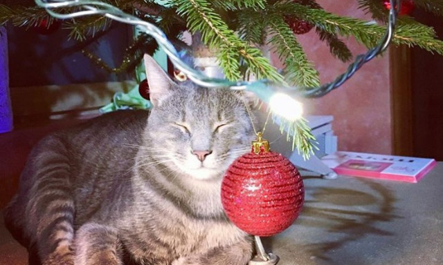 &Iacute;gy kar&aacute;csonyozott Kaposv&aacute;r  - Instagram H&iacute;rad&oacute;