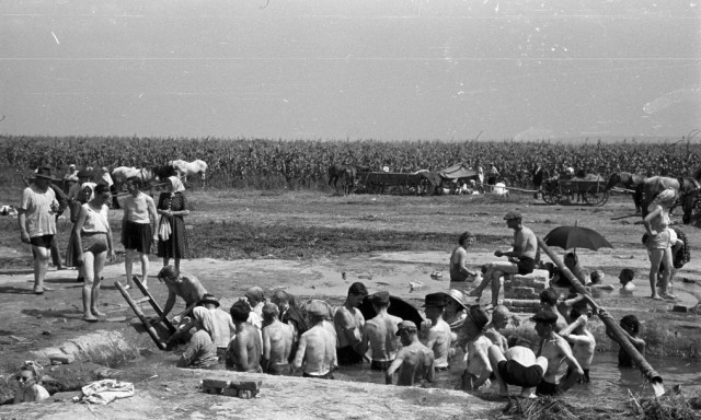 A puszta k&ouml;zep&eacute;be v&aacute;jt g&ouml;dr&ouml;kben lazultak a somogyi f&uuml;rdőzők 1956 nyar&aacute;n