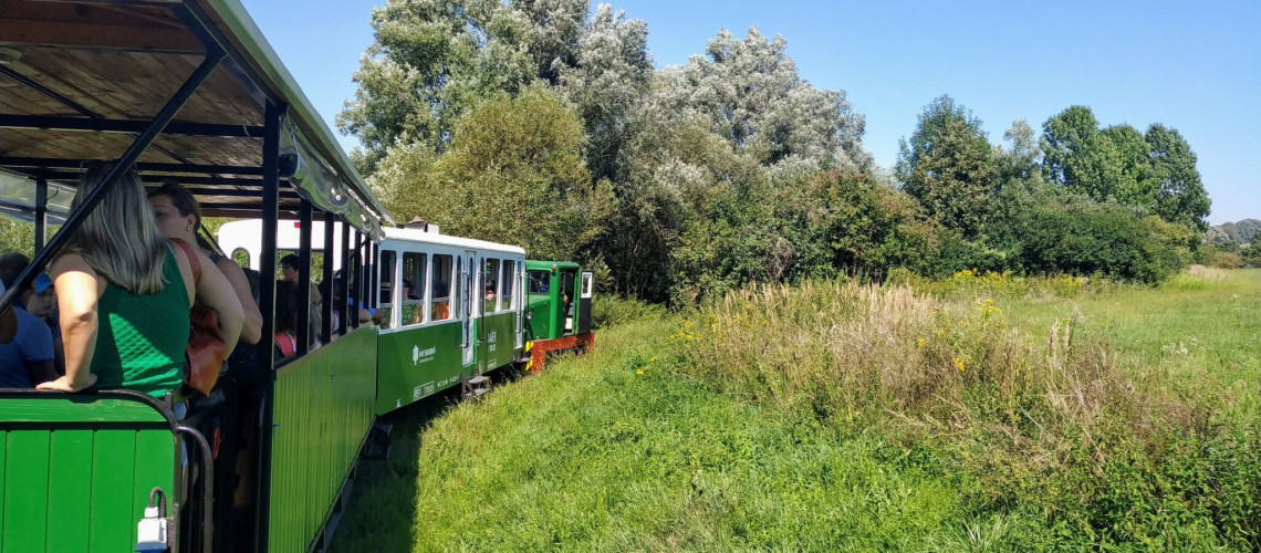 M&aacute;jus elsej&eacute;től &uacute;jra j&aacute;r a fel&uacute;j&iacute;tott Zselici kisvas&uacute;t