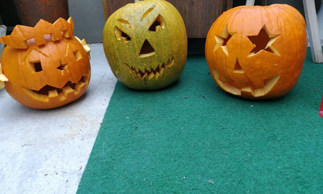 G&aacute;l Hanna - Kinek van a legszebb t&ouml;ke Kaposv&aacute;ron?