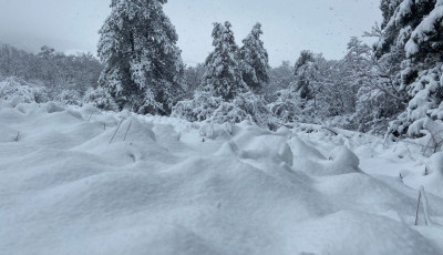 Egy somogyi k&ouml;zs&eacute;gben esett az elm&uacute;lt napokban a legt&ouml;bb h&oacute; az orsz&aacute;gban