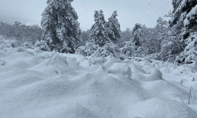 Egy somogyi k&ouml;zs&eacute;gben esett az elm&uacute;lt napokban a legt&ouml;bb h&oacute; az orsz&aacute;gban