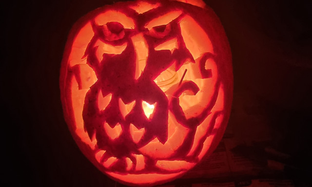 Pap Lili - Kinek van a legszebb t&ouml;ke Kaposv&aacute;ron?