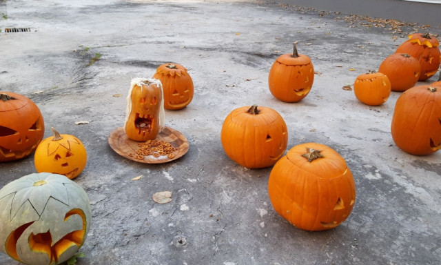 Kisfaludy iskola 3.a - Kinek van a legszebb t&ouml;ke Kaposv&aacute;ron?