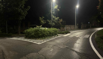 Egy bokor miatt v&aacute;lt vesz&eacute;lyess&eacute; a gyalogos &aacute;tkelőhely a Bethlen t&eacute;ri k&ouml;rforgalomn&aacute;l