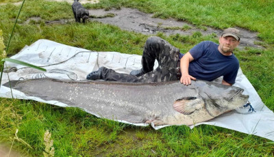 Elk&eacute;sz&uuml;lt a hazai vizekben fogott legnagyobb halak pontos toplist&aacute;ja