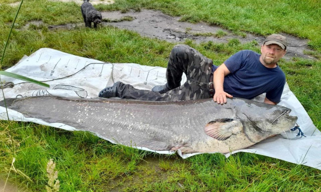 Elk&eacute;sz&uuml;lt a hazai vizekben fogott legnagyobb halak pontos toplist&aacute;ja