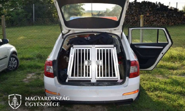 Az aut&oacute;j&aacute;ban hagyta kuty&aacute;it a volt rendőr, hőgut&aacute;t kaptak &eacute;s megfulladtak a hős&eacute;gben