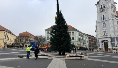 Hely&eacute;re ker&uuml;lt Kaposv&aacute;r kar&aacute;csonyf&aacute;ja a Kossuth t&eacute;ren