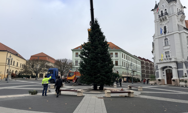 Hely&eacute;re ker&uuml;lt Kaposv&aacute;r kar&aacute;csonyf&aacute;ja a Kossuth t&eacute;ren