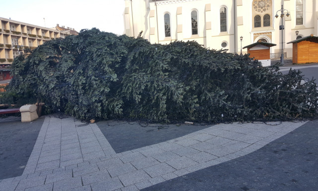 Eddig b&iacute;rta, kidőlt a v&aacute;ros kar&aacute;csonyf&aacute;ja!